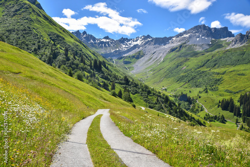 Wanderweg durch Wildblumenwiese mit Blick ins Gafiental bei St. Antönien, Graubünden Schweiz