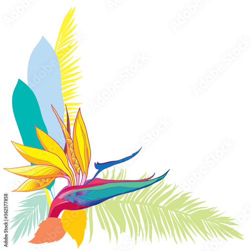 Corner bouquet of outline tropical Strelitzia reginae or bird of paradise flower and palm leaf isolated on white background. 