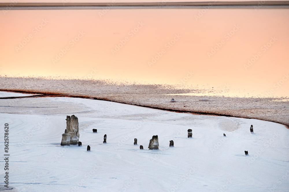 Fototapeta premium Sunset on the pink lake. Columns in salt crystals in white salt and pink water.
