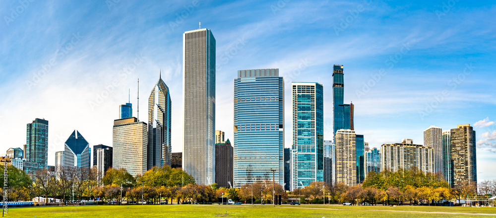 Fototapeta premium Skyline of Chicago at Grant Park in Illinois - United States