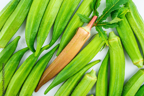 Fresh vegetable okra on white background