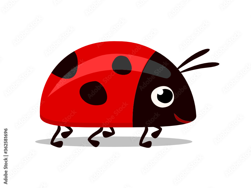 Obraz premium sweet little red lady bug vector illustration