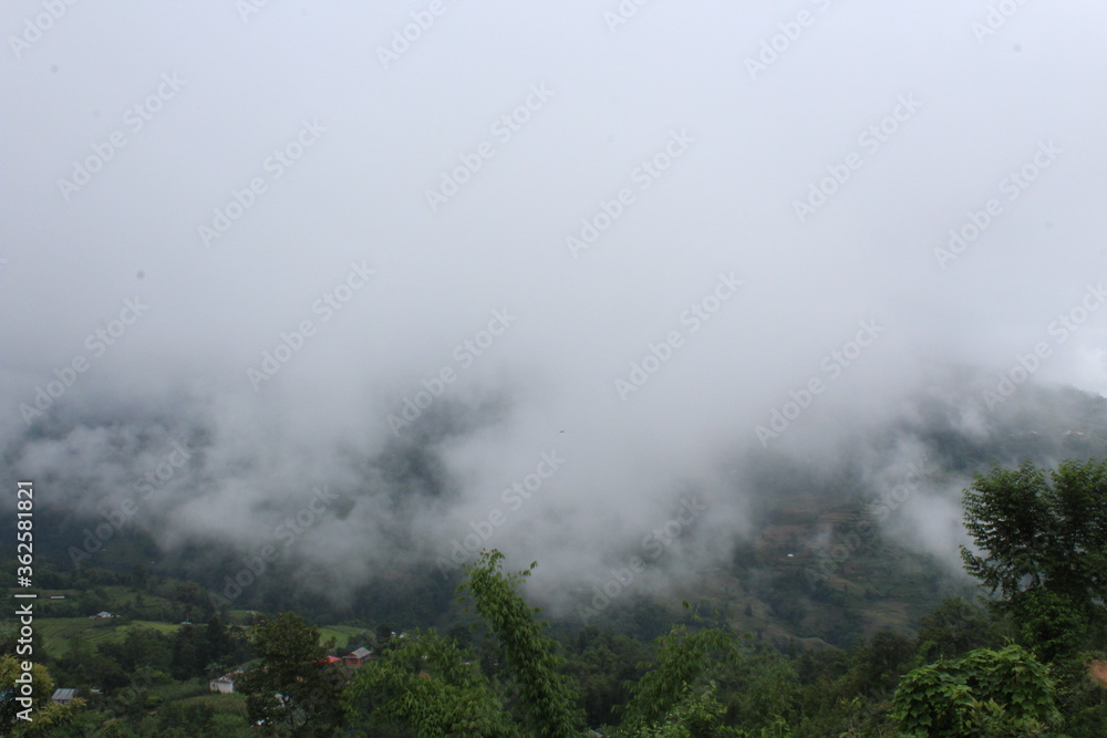 Beautiful scene of green hill with lots of lots green trees and fogs in Nepal