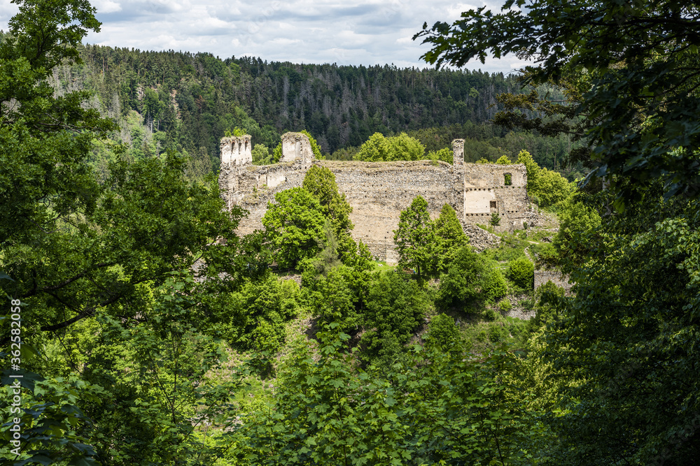Obraz premium Maiden's Stone castle in the Czech Republic