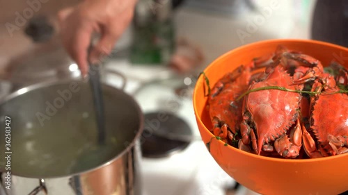 The cook takes out the cooked red blue crabs from the pan and folds them into an orange bowl. photo