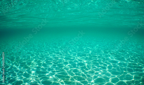 underwater pool sea caribbean sea Venezuela © gustavo