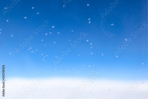 Obraz na płótnie snowflakes on the window of an airplane w salonie