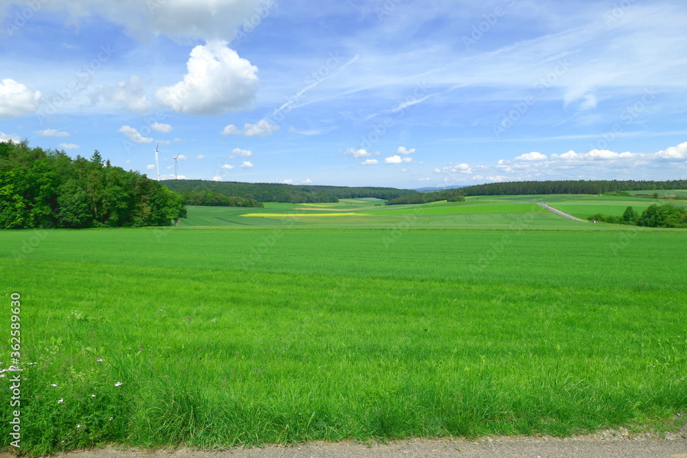 green field and blue sky green field and blue sky