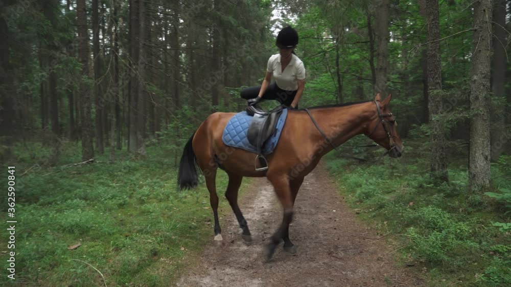 Young female get on a horse, horseback riding in the forest, summertime, horsewoman ride on a horse at a gallop, back view. Young female get on a horse, horseback riding in the forest, summertime, horsewoman ride on a horse at a gallop, back view.