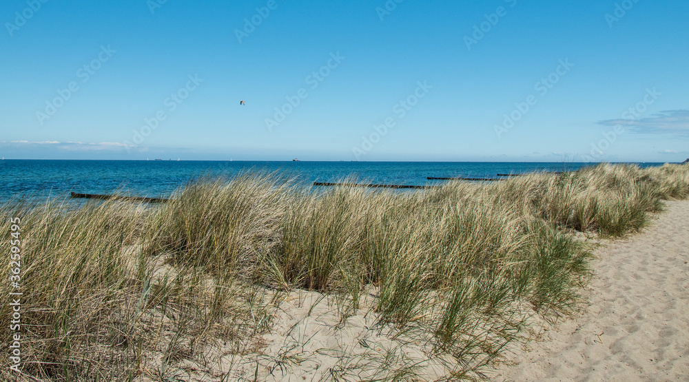 Dünen an der Ostsee Dünen an der Ostsee