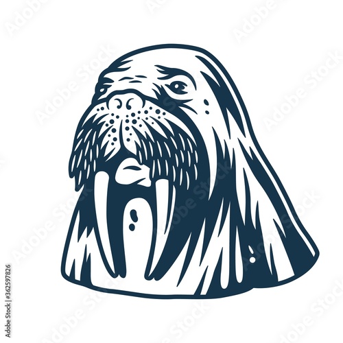 Ocean walrus for marine nautical logo design