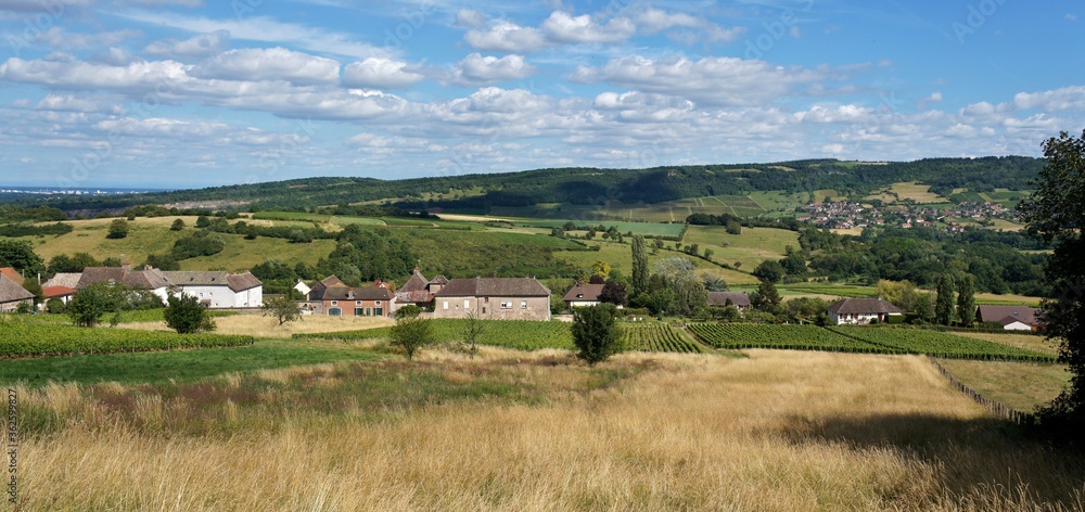 Panorama de la campagne Bourguignonne.