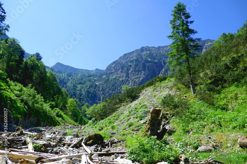 panoramic view of schfareuter, karwendel, tyrol photo