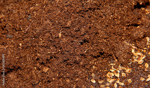 The texture of the topsoil. The ground for planting seeds.