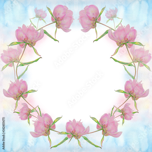 Flowers - frame of flowers. Peony. Garden flowers. Botanical drawing. Use printed materials, signs, items, websites, maps, posters, postcards, packaging.