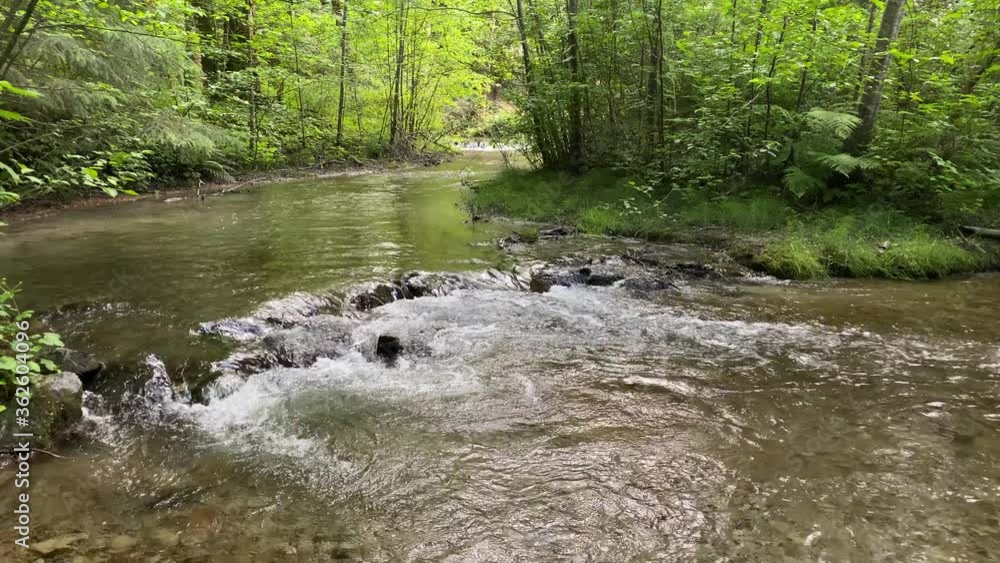 Small mountain creek in slow motion in Vancouver, Canada. 4K. Small mountain creek in slow motion in Vancouver, Canada. 4K.