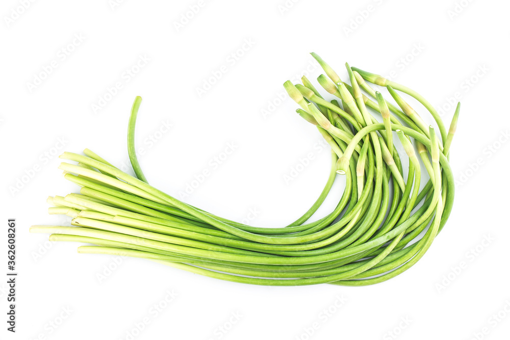 Garlic scapes,isolated on white background. Garlic scapes,isolated on white background.