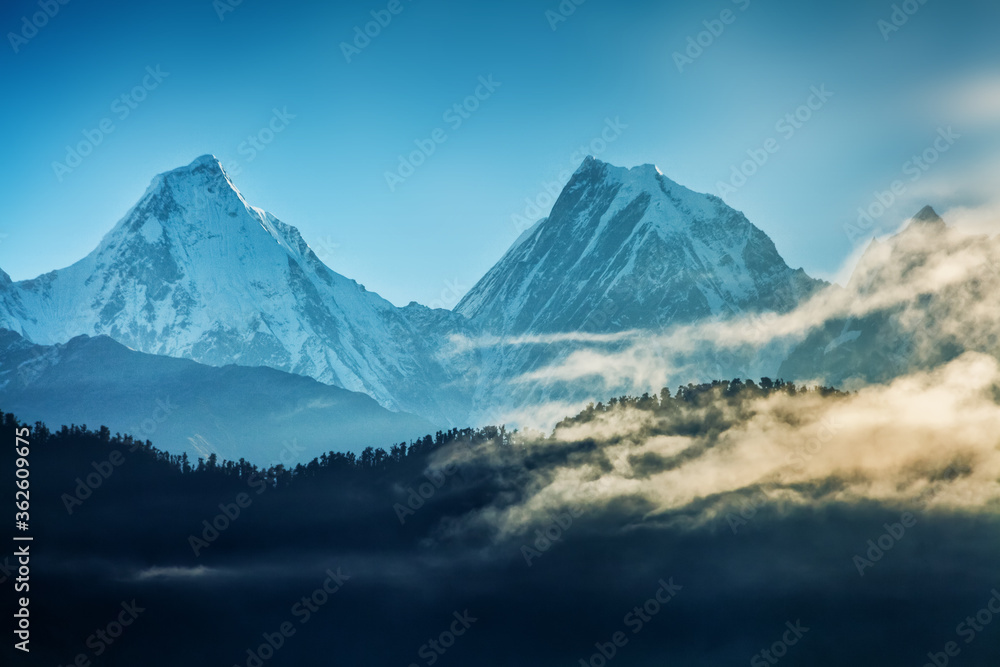 View of beautiful Panchchuli peaks of the Great Himalayas as seen from Munsiyari, Uttarakhand, India.