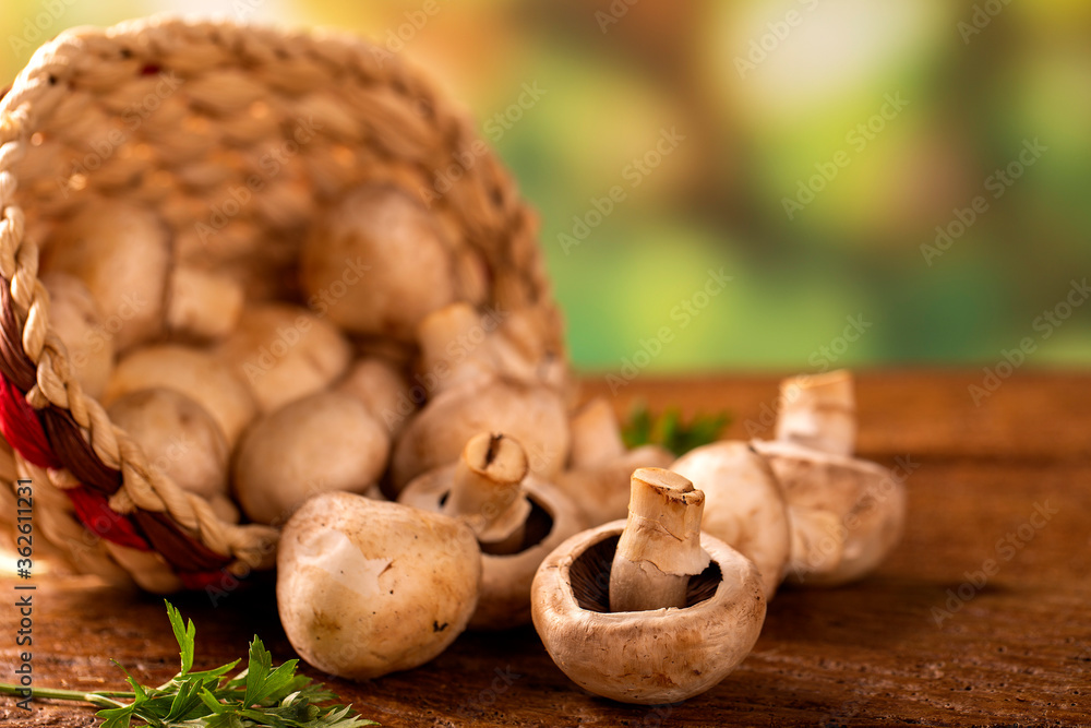 Paris or champignon Mushroom on Wood Background