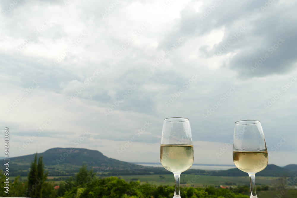 Obraz premium Two glasses of fine riesling wine in the Badacsony region in Hungary with volcanic hill Badacsony in the background