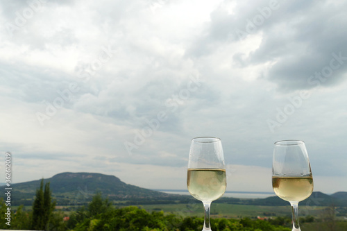 Two glasses of fine riesling wine in the Badacsony region in Hungary with volcanic hill Badacsony in the background