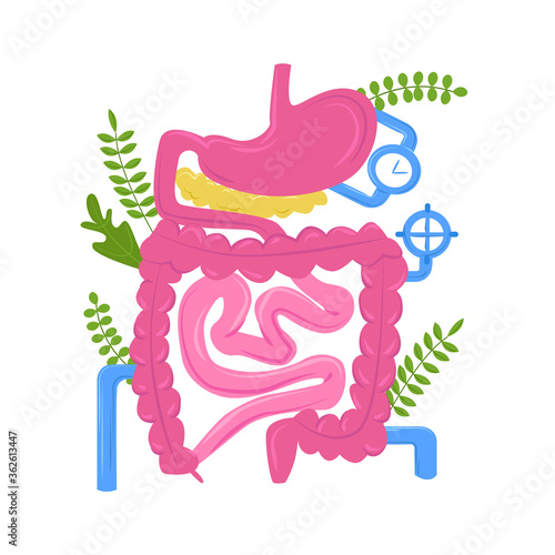 Vector isolated illustration anatomical organ of gastrointestinal tract against background metaphorical pipes, plant elements. Concept gastroenterology, nutrition, probiotics, diseases.