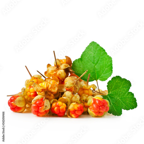 Cloudberry with leaves isolated on a white background.