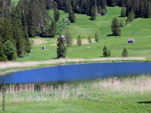 The smaller lake Schwendisee (Hinter Schwendisee) in the Obertoggenburg region, Wildhaus - Canton of St. Gallen, Switzerland (Kanton St. Gallen, Schweiz) photo