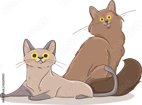 vector illustration of a cats