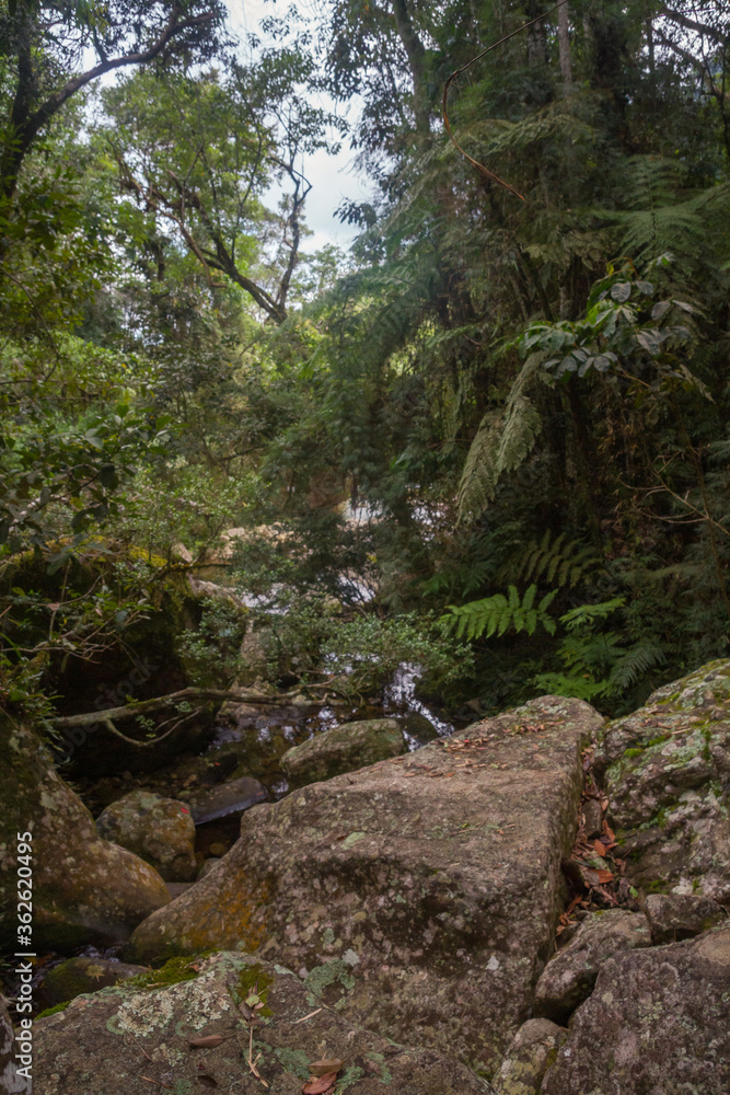 Natural waterfall in national park Natural waterfall in national park
