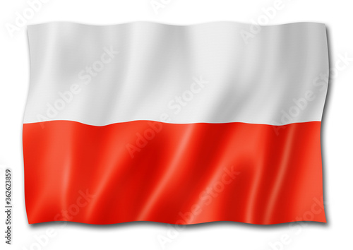 Polish flag isolated on white
