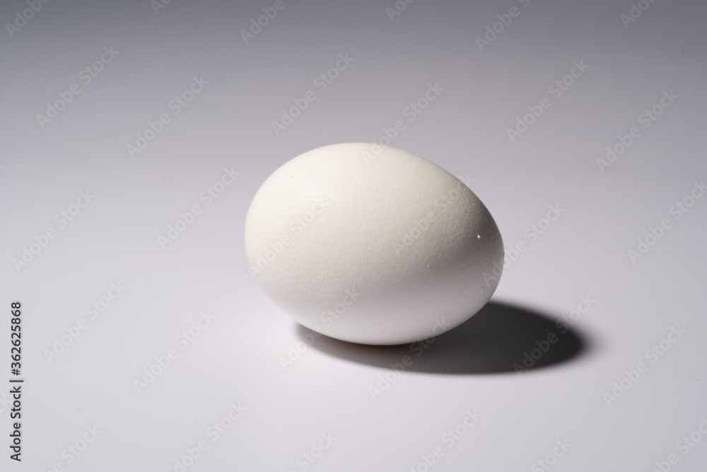 Close up photograph of a single white egg isolated against a white background