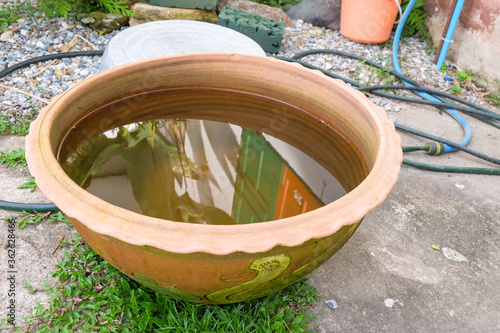 Water in terracotta lotus basin on garden. © amnarj2006