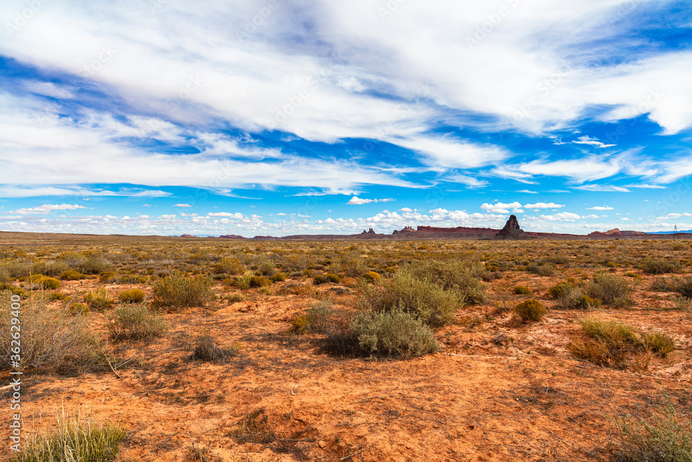 Arizona desert landscape