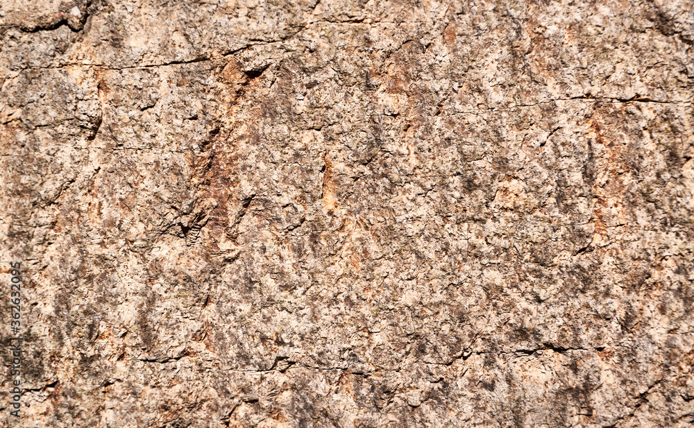Rustic stone background. Front view. Close up. 