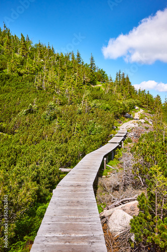 Mountain wooden bridge trail in Karkonosze National Park, Poland.