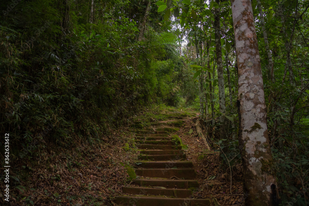 Hiking trail in national park