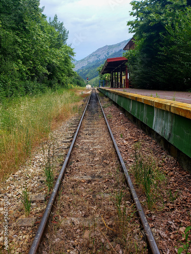 Old railway station with vegetation