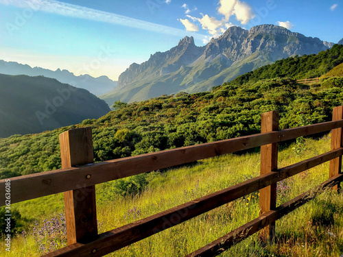 Impressive mountain range and fence with long grass bush