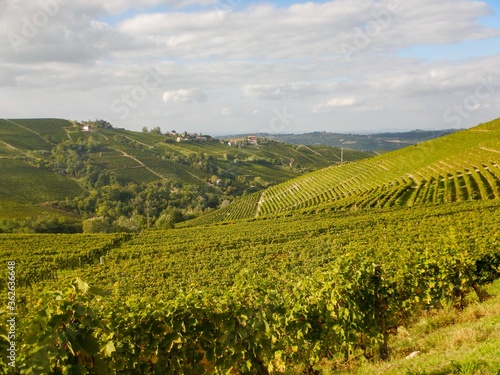 Hills of the lower Langa near Castiglion Tinella, Piedmont - Italy