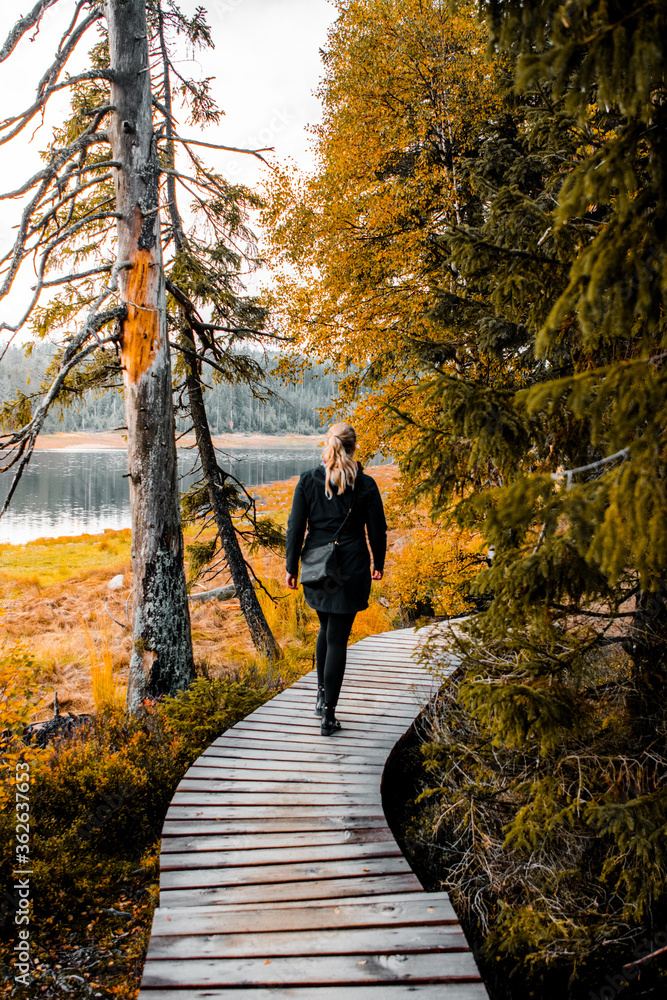 Obraz premium Actives outdoor girl exploring and walking the idyllic forest mountain nature with beautiful andn colorful sunset tones. Magical nautre earth. Brocken, Harz Mountains, Harz National Park in Germany.