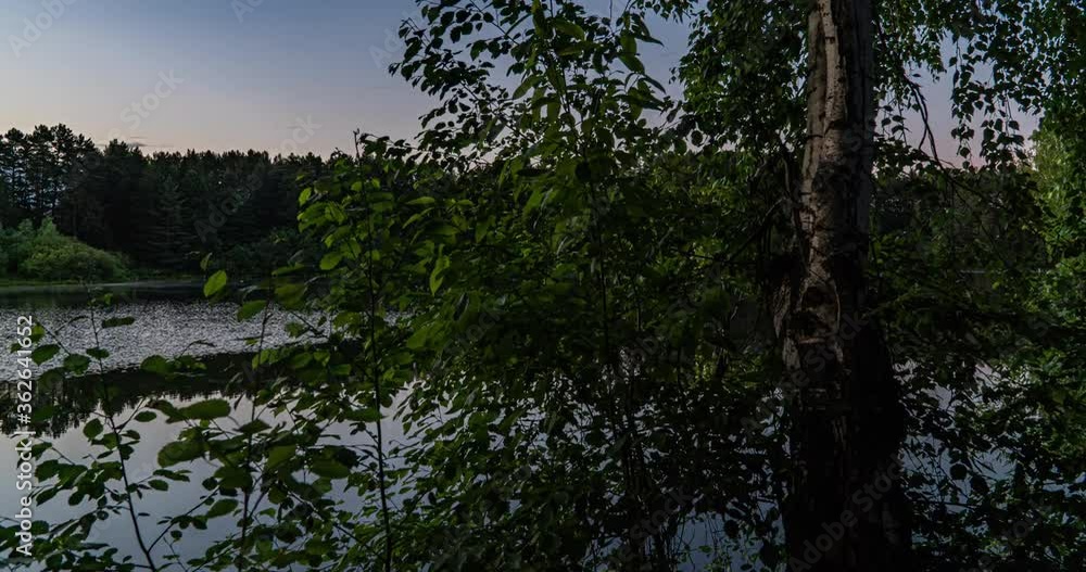 Green Forest. Pine Trees. Camera movement inside the forest. Wonderful green forest over the lake in summer. Camera movement to the right, time lapse 4k. Hyperlapse. Green Forest. Pine Trees. Camera movement inside the forest. Wonderful green forest over the lake in summer. Camera movement to the right, time lapse 4k. Hyperlapse.