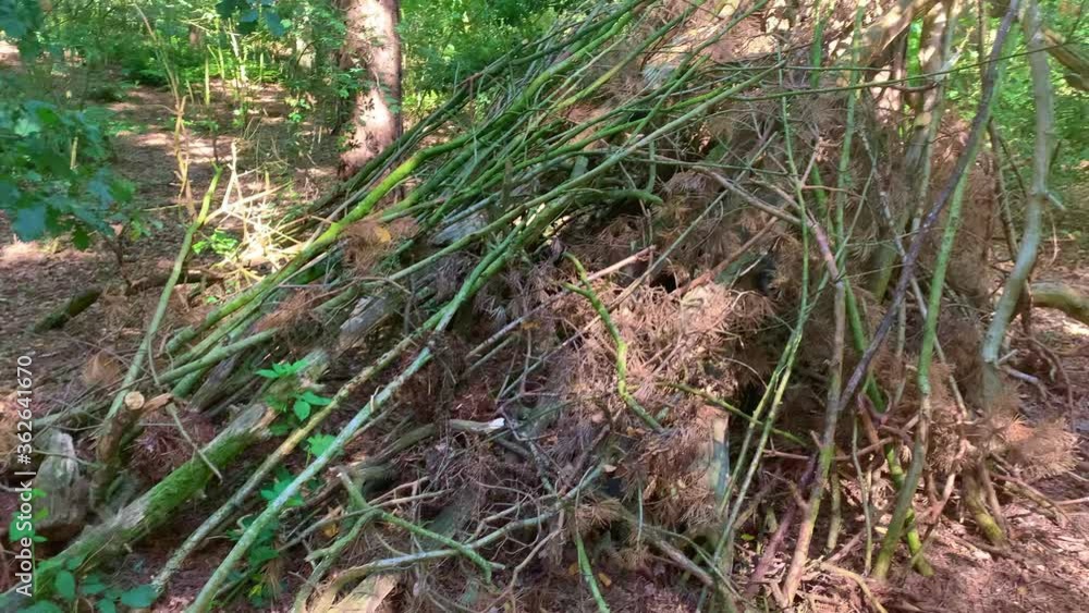 Tree branches are piled up in the forest like an old Indian tent where you can find protection Tree branches are piled up in the forest like an old Indian tent where you can find protection