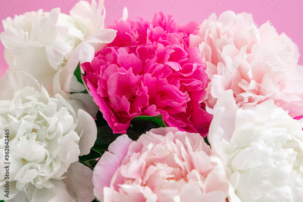 Bouquet beautiful flowers on pink background. Universal greeting card. FLatlay with pionies Bouquet beautiful flowers on pink background. Universal greeting card. FLatlay with pionies