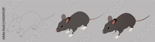 Cartoon Rat and Mouse Vector Illustration Set. Set of icons in isometric.