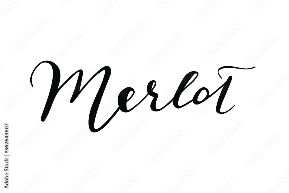 Merlot Wine hand lettering vector isolated on white background for wine menu, wine list, wine card, restaurant, bar, winery, vineyard, drink list, bottle and glasses.