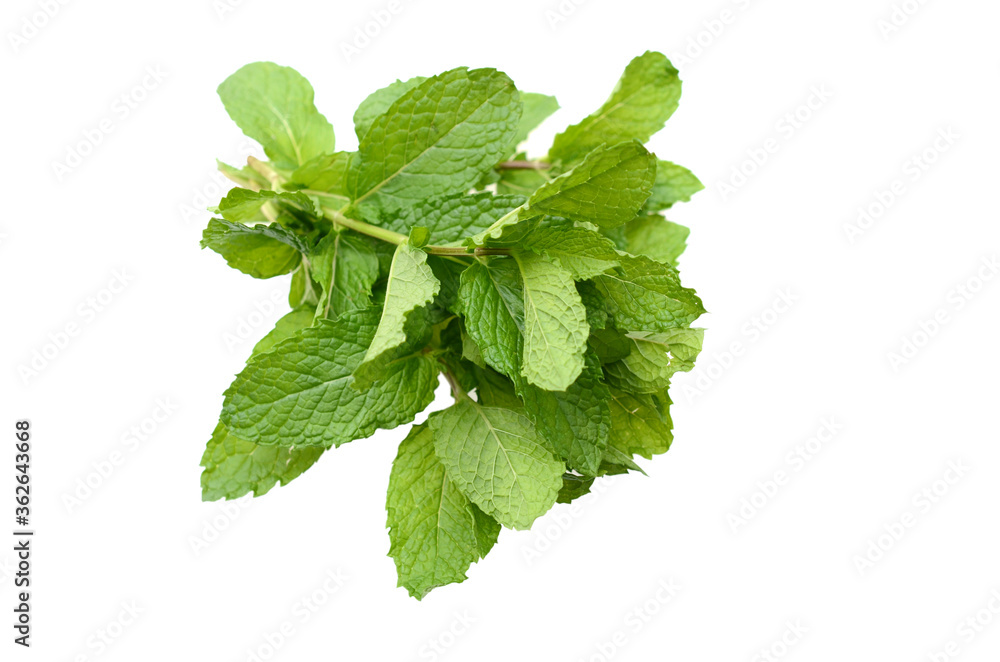 Pepper mint on isolated white Pepper mint on isolated white