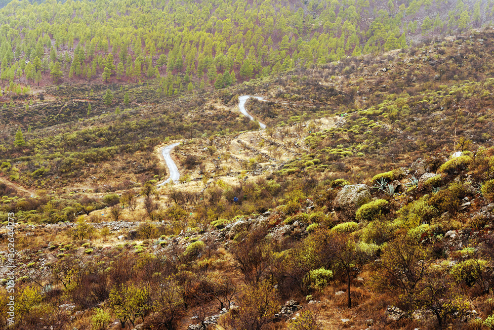 Rainy alpine landscape in Gran Canaria, Canary Islands, Spain Rainy alpine landscape in Gran Canaria, Canary Islands, Spain