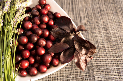 Obraz na płótnie Autumn harvest cherry fruit and lavender w salonie