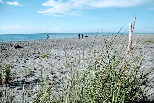 beach and grass at dar  